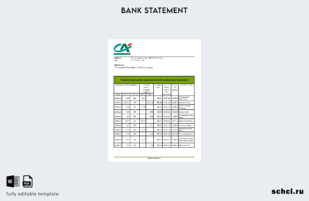скачать цифровую версию шаблона Excel банковской выписки France Credite Agricole